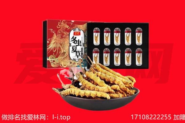 鹤岗市南山回收虫草.jpg